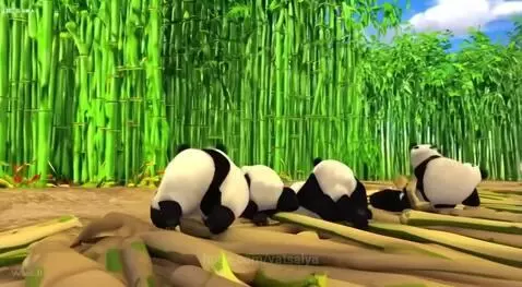 Video by vatsalya
