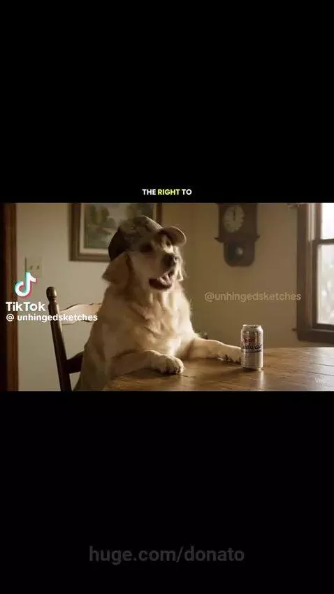 dog dad joke😂 by donato