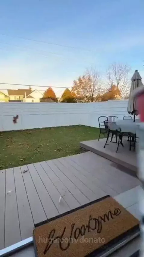 KFC rampage🤣😂 by donato