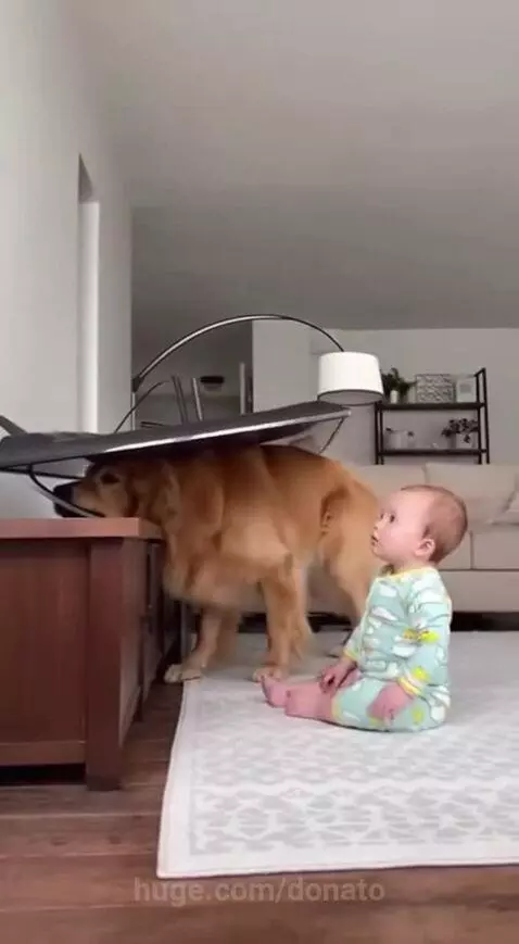 OMG so close!!!!😨😨😨😨😨😨 by donato