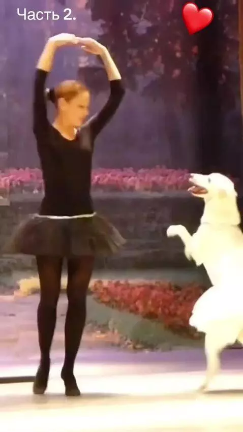 LITTLE DANCER❤️❤️🤣😂🤣 by donato