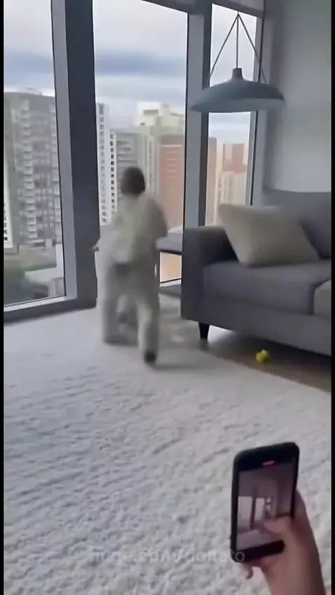 Look at this baby❤️❤️❤️❤️ by donato