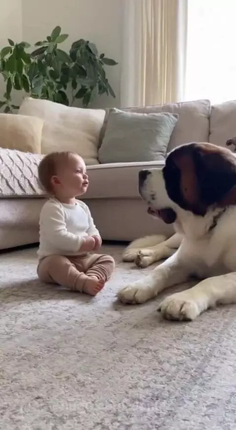 Baby with dog❤️❤️❤️❤️ by donato