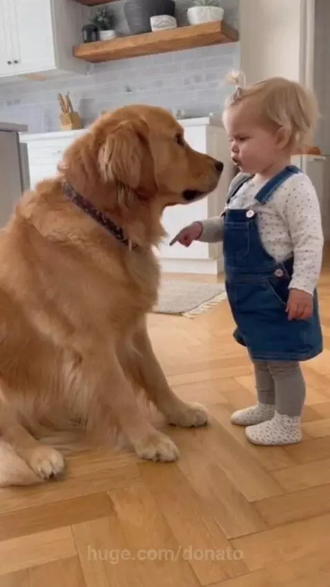 bossy baby❤️❤️❤️ by donato