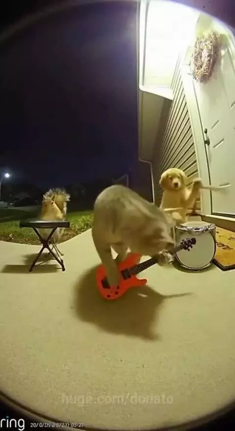 The cute band❤️❤️❤️ by donato