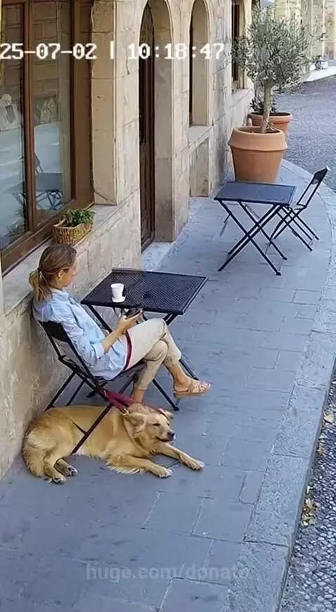 He saw it coming by donato