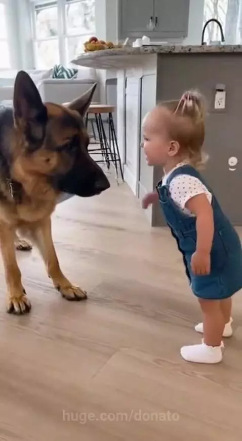 He took the cookie❤️❤️ by donato