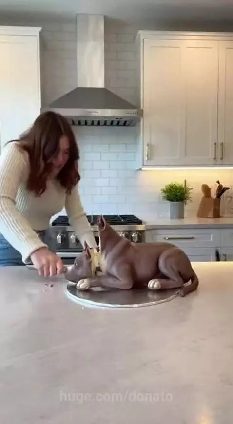 Why did he do that? by donato