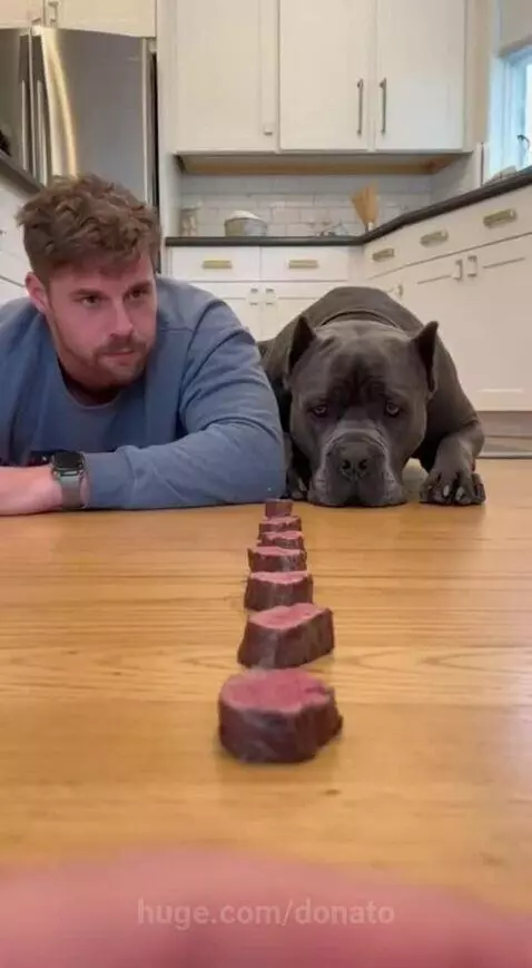 WHAT A COMPETITION!🔥❤️ by donato