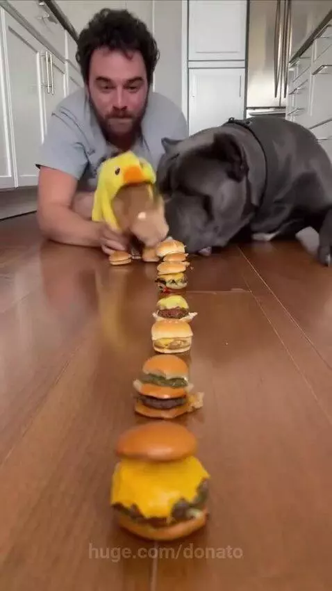 Look at them go!🔥❤️ by donato