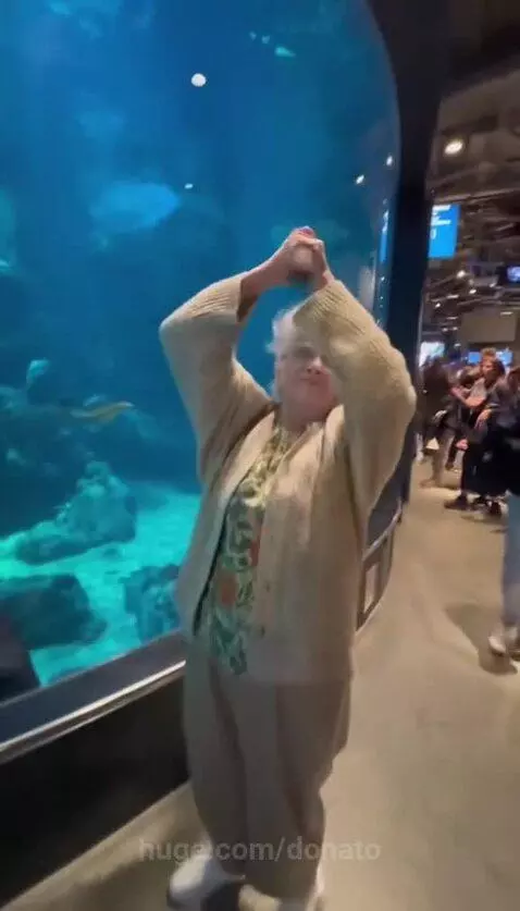 WHAT A DISASTER!🤣🤣 by donato