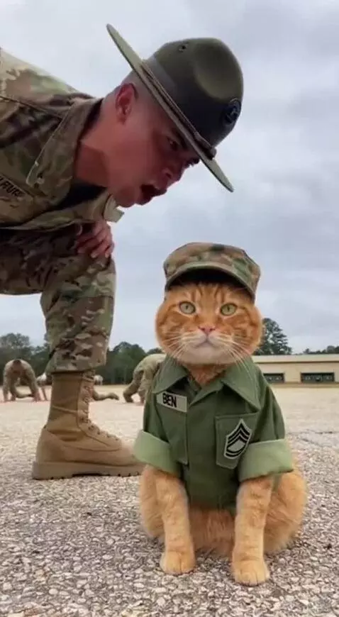 Solider in position!❤️ by donato