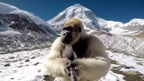 YETI bolg on everest!🔥🔥 by donato