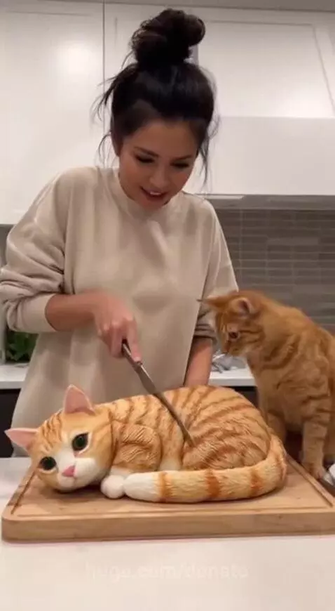 Cat cake cut🤣😂🤣 by donato