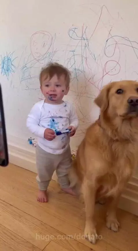 Baby with blue marker on face and shirt points at a golden retriever, accusing it of drawing on a colorful wall.