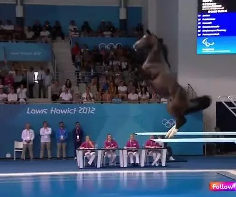 diving competition by donato