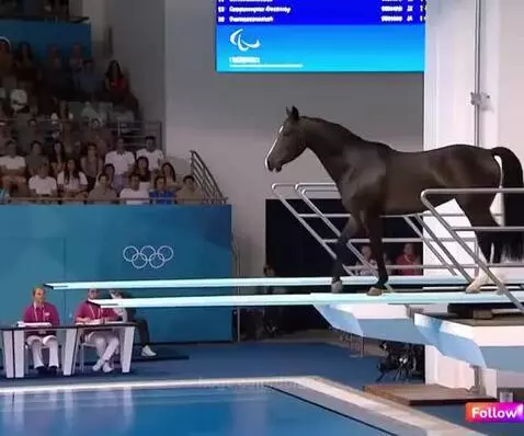 Olimpic diving tournament by donato