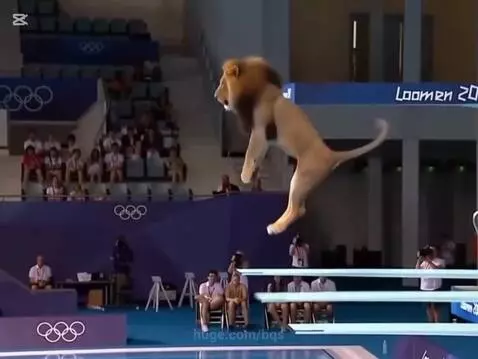 Animal Olympics p1 by bqs