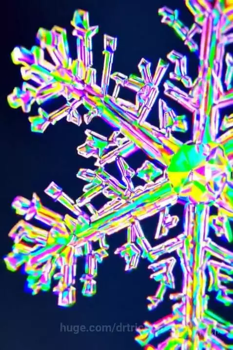mesmerizing snowflake by drtrichome