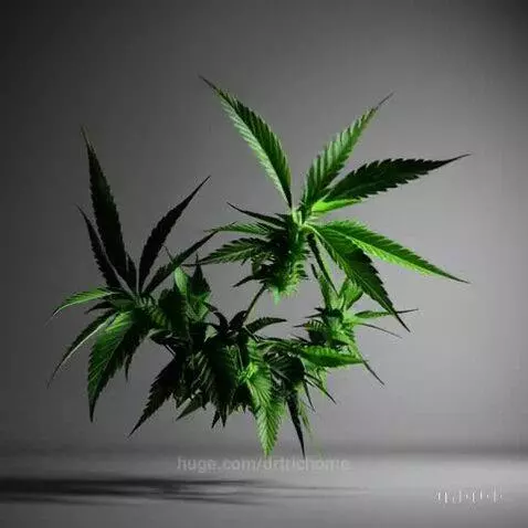 Invisible Cloner by drtrichome