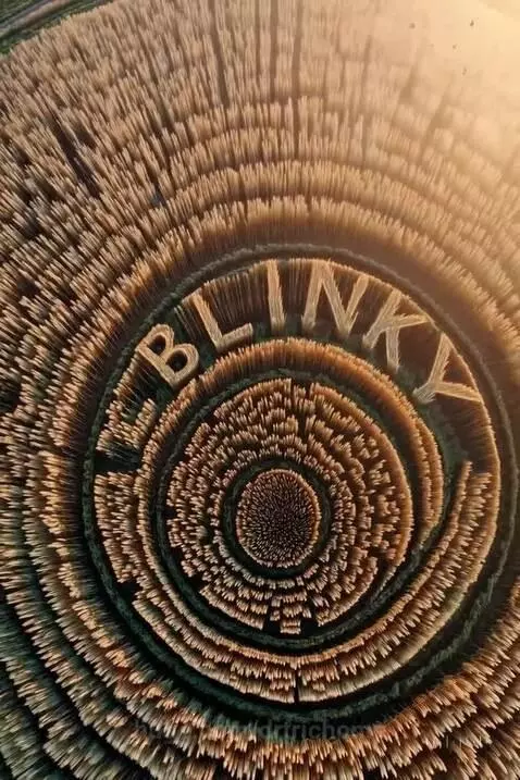Crop Circles says Blinky....... by drtrichome