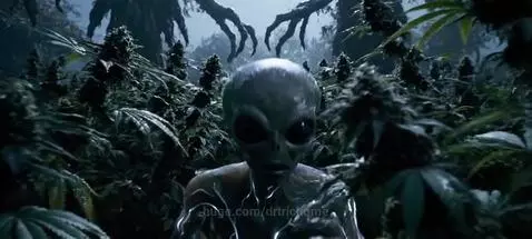 Alien escape part 1 by drtrichome
