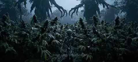 video poster