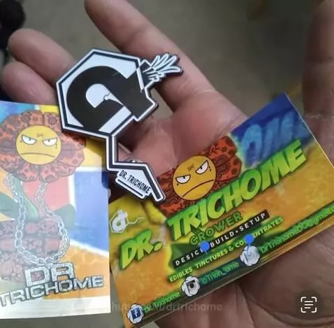 2015 Business Cards and Pins by drtrichome