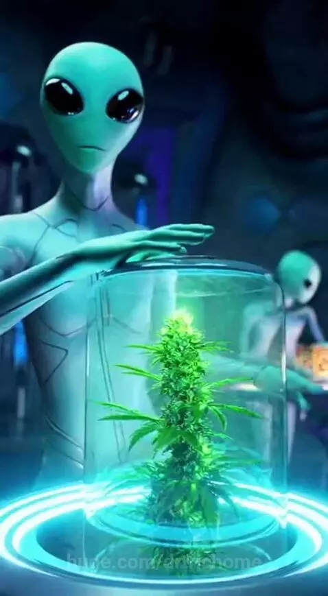 👽 + 🪴 = 🚀 by drtrichome