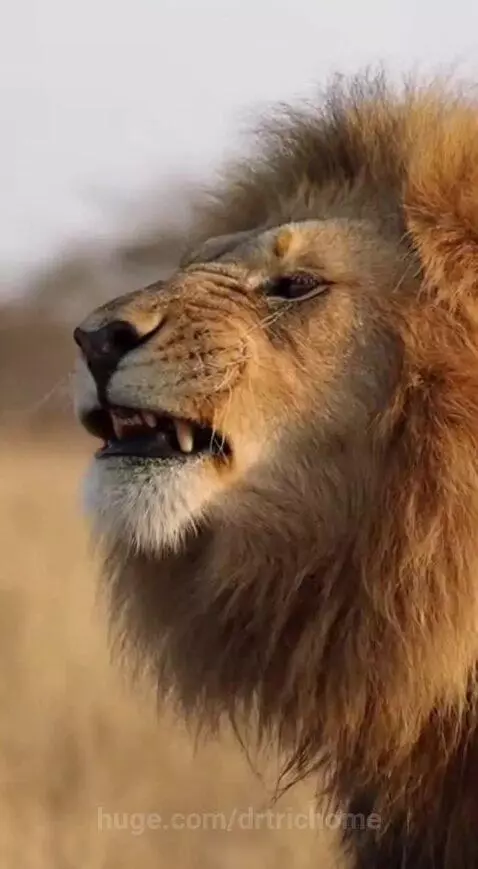 When you get a whiff of that good good 🔥 💨 by drtrichome