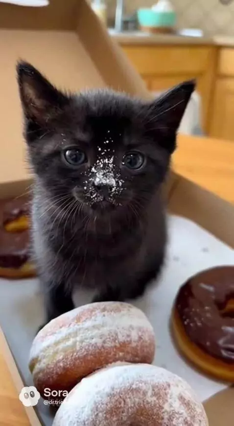 I said 💨 by drtrichome