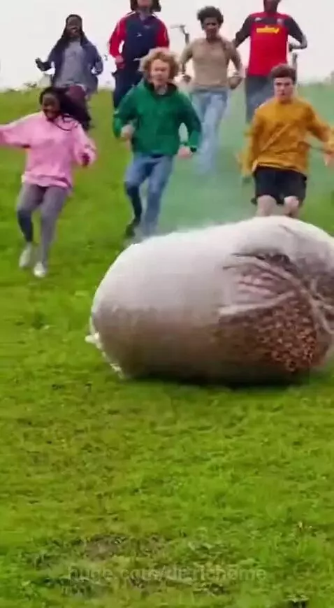 You remember the cheese 🧀 wheel 🛞 down the hill? by drtrichome