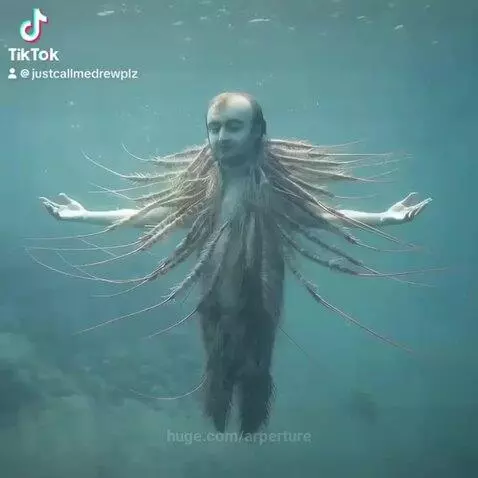 video poster
