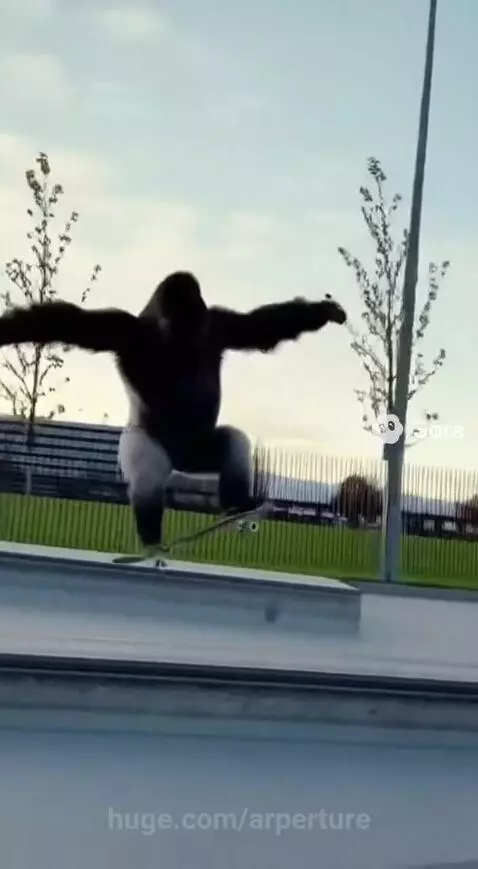 Harold the Pro Skater: Documentary by arperture