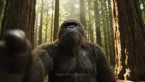 video poster