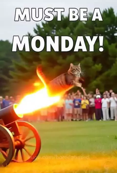 Must be a Monday 🙀 by borednbased