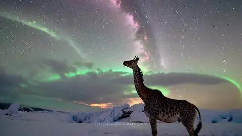 Watching the northern lights from a glacier by abynah