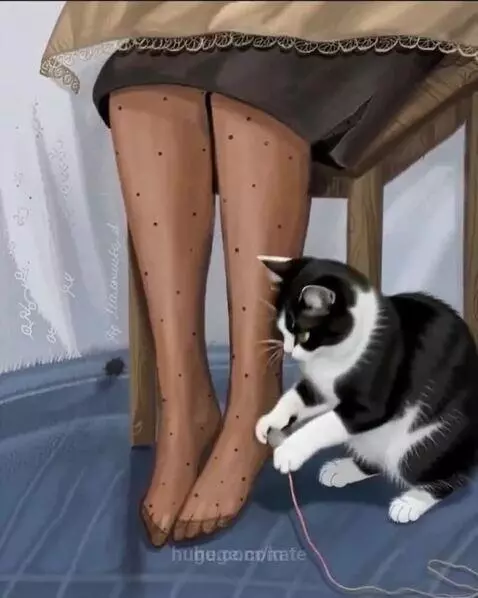 😻 from picture to video by kate