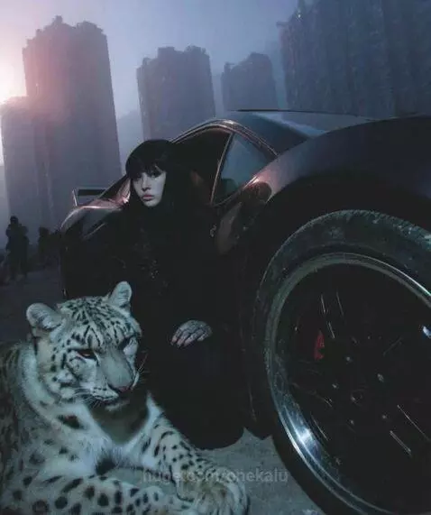 video poster