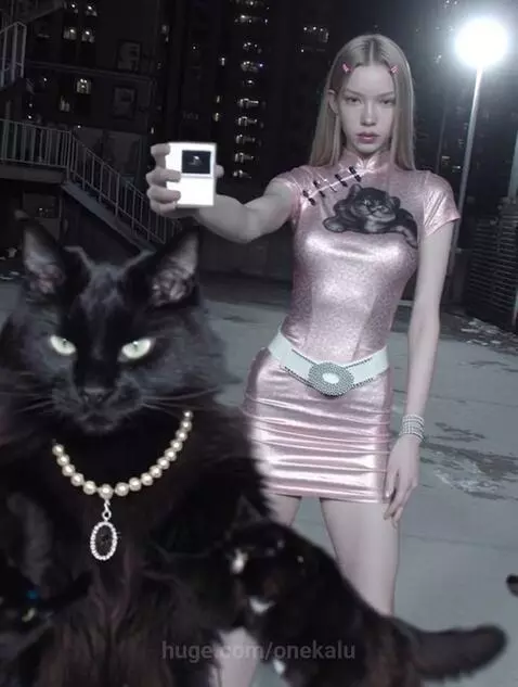 Cattitude by onekalu