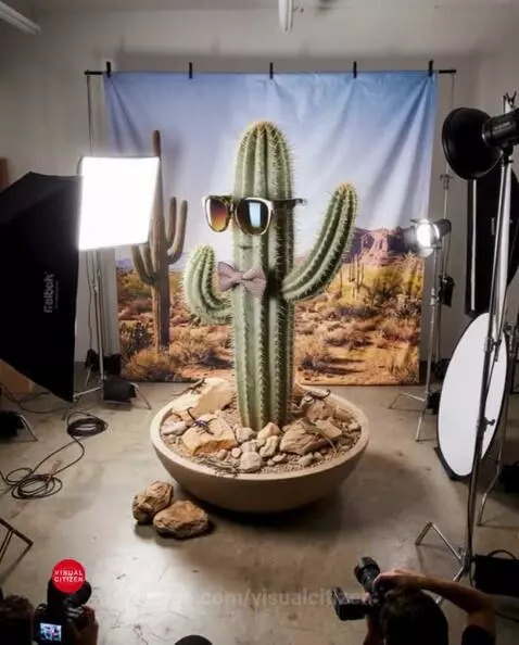 A saguaro cactus wearing sunglasses and a bow tie, posed in a studio with desert backdrop and photography equipment.