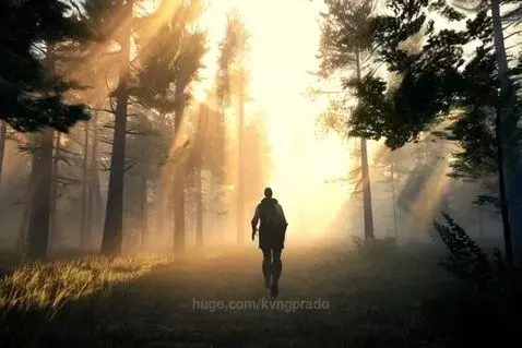 "Every step carries a story, and the forest remembers them a... by kvngprado