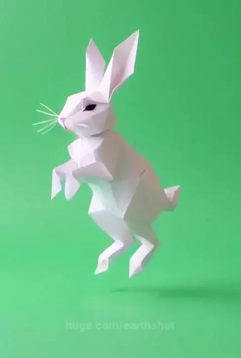 Dancing Rabit by earthshot