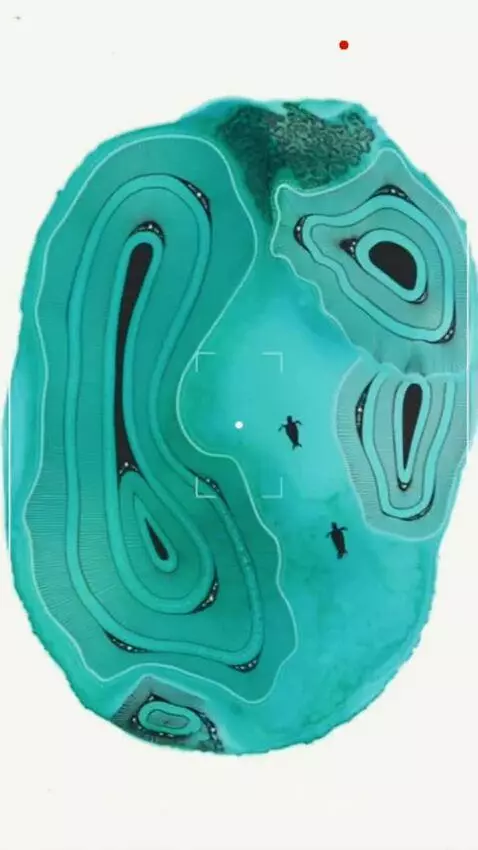 Happy New Year by earthshot