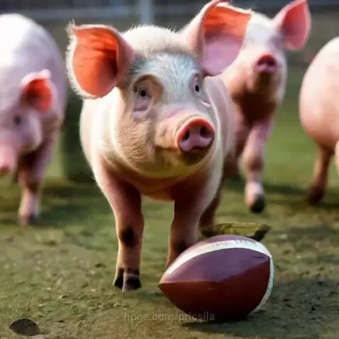 Pig playing football by pricsila
