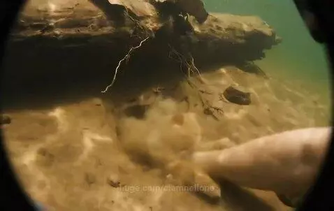 Diving find😂 by ciamnellone