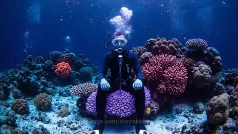video poster