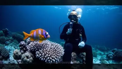 Fish Interview V.3 by denrakeiw