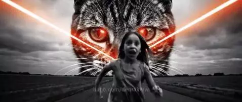 video poster