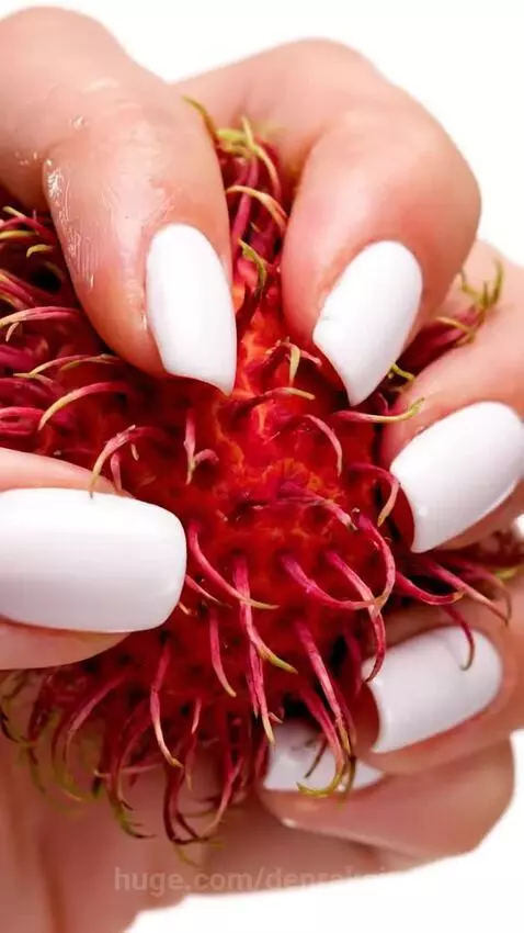 Rambutan by denrakeiw